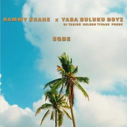 Dammy Krane ft Yaba Buluku Boyz (DJ Tarico, Preck & Nelson Tivane) – Egbe